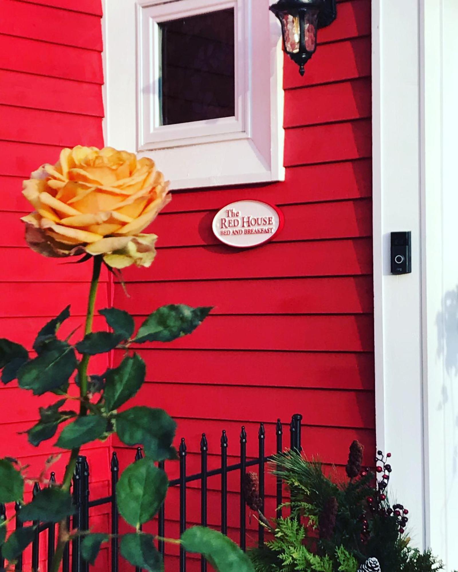 The Red House Fredericton Bed & Breakfast Exterior photo